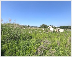  2024Ÿ��32323 ��� ������ ��Ҹ� �Ҽ��� 262      ���ð��