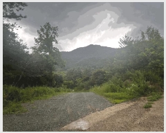  2024Ÿ��33517 ��� ���ֽ� ������ ��õ�� 443-14      ��Ÿ�������