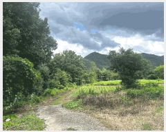  2024Ÿ��33517 ��� ���ֽ� ������ ��õ�� 443-14      ��Ÿ�������