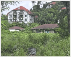  2024Ÿ��33517 ��� ���ֽ� ������ ��õ�� 443-14      ��Ÿ�������