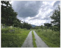  2024Ÿ��33517 ��� ���ֽ� ������ ��õ�� 443-14      ��Ÿ�������