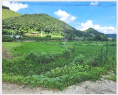  2024Ÿ33784  ֽ ִ ž縮 626      ()