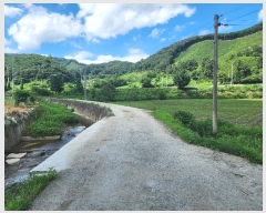  2024Ÿ33784  ֽ ִ ž縮 626      ()