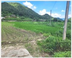  2024Ÿ33784  ֽ ִ ž縮 626      ()