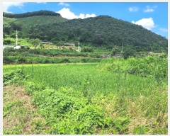  2024Ÿ33784  ֽ ִ ž縮 626      ()