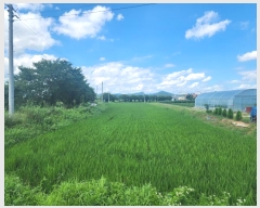  2024Ÿ33784  ֽ ִ ž縮 626      ()