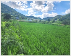  2024Ÿ33784  ֽ ִ ž縮 626      ()