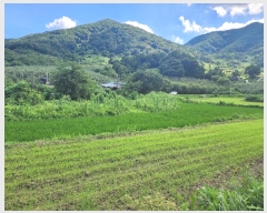  2024Ÿ33784  ֽ ִ ž縮 626      ()