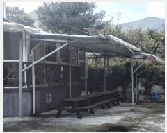  2024Ÿ34534  ֽ   413-1      ð