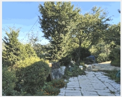  2024Ÿ34855  ֽ ҿ  367-2      ,â