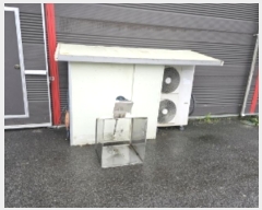  2024Ÿ35285   ظ  623      