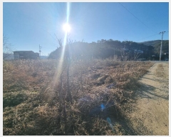  2024Ÿ��35704 ��� ���ֽ� �Ӽ��� ��õ�� 39-20      ����(��1)���