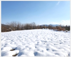  2024Ÿ35728     743      (1)