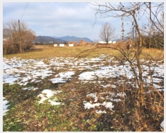  2024Ÿ35728     743      (1)