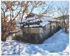  2024Ÿ35728     743      (1)