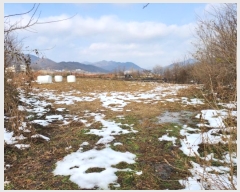  2024Ÿ35728     743      (1)