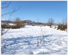  2024Ÿ35728     743      (1)