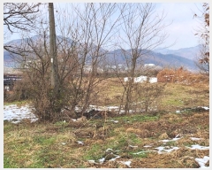  2024Ÿ35728     743      (1)