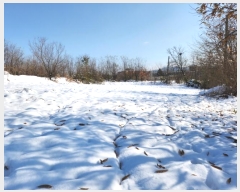  2024Ÿ35728     743      (1)