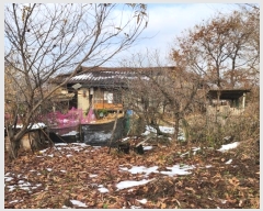  2024Ÿ35728     743      (1)