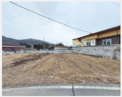  2024Ÿ��36219  �������