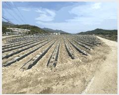  2024Ÿ��1169 ��� ���ֽ� ������ ����� 126-10      ����(��)���