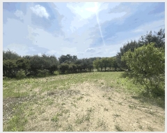  2024Ÿ��1169 ��� ���ֽ� ������ ����� 126-10      ����(��)���