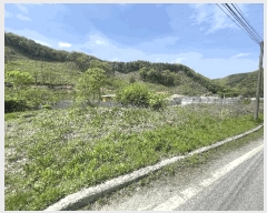  2024Ÿ��1169 ��� ���ֽ� ������ ����� 126-10      ����(��)���