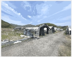  2024Ÿ��1169 ��� ���ֽ� ������ ����� 126-10      ����(��)���