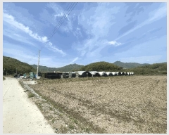  2024Ÿ��1169 ��� ���ֽ� ������ ����� 126-10      ����(��)���