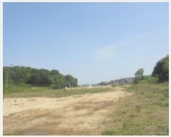  2024Ÿ��1343 ��� ������ �Ｚ�� �� 483      ����(��1)���