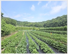  2024Ÿ��1770 ��� ���ֽ� �߾�ž�� ������ 453      ����(��1)���