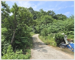  2024Ÿ��1770 ��� ���ֽ� �߾�ž�� ������ 453      ����(��1)���