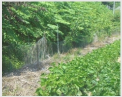  2024Ÿ��1770 ��� ���ֽ� �߾�ž�� ������ 453      ����(��1)���