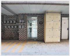  2024Ÿ��2919  �ټ���(����)���