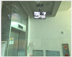  2024Ÿ��2919  �ټ���(����)���