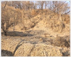  2024Ÿ��3004 ��� ���ֽ� ������ ��ȿ�� 622      ����(��1)���