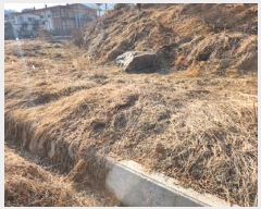  2024Ÿ��3004 ��� ���ֽ� ������ ��ȿ�� 622      ����(��1)���