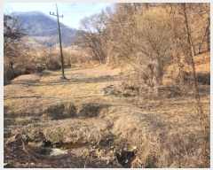  2024Ÿ��3004 ��� ���ֽ� ������ ��ȿ�� 622      ����(��1)���