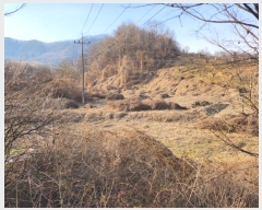  2024Ÿ��3004 ��� ���ֽ� ������ ��ȿ�� 622      ����(��1)���