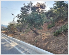  2024Ÿ��3004 ��� ���ֽ� ������ ��ȿ�� 622      ����(��1)���