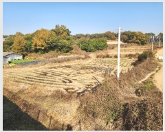  2024Ÿ��3035  ����