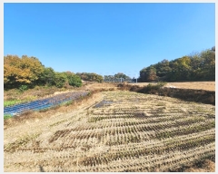  2024Ÿ��3035  ����