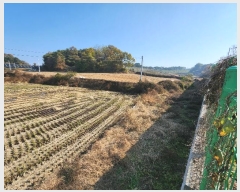  2024Ÿ��3035  ����