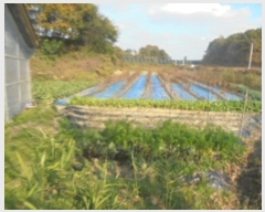  2024Ÿ��3035  ����