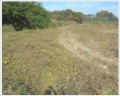  2024Ÿ��3035  ����