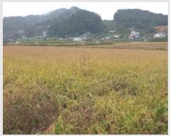  2024Ÿ3073  ֽ ߾ž ž 270-1      ()