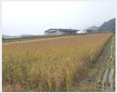  2024Ÿ3073  ֽ ߾ž ž 270-1      ()