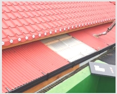  2024Ÿ3301  ֽ  1781       ð