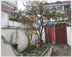  2024Ÿ3301  ֽ  1781       ð